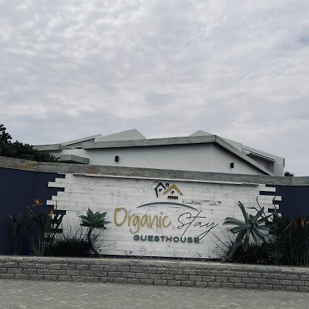 Organic Stay Guesthouse Swakopmund Bagian luar foto