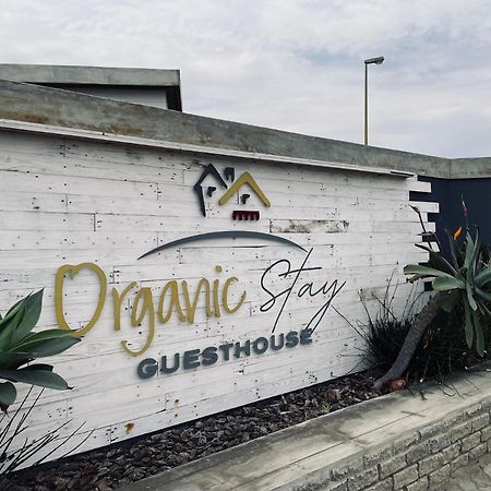 Organic Stay Guesthouse Swakopmund Bagian luar foto