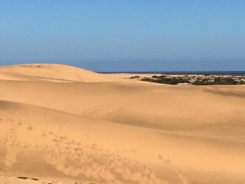 Organic Stay Guesthouse Swakopmund Bagian luar foto